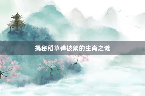 揭秘稻草弹被絮的生肖之谜